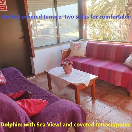 아파트 Casa Playitas -clp- Sea View - In 1 Minute Ocean Las Playas